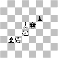 Chess problem diagram